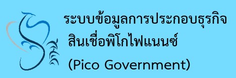 PicoGoverment